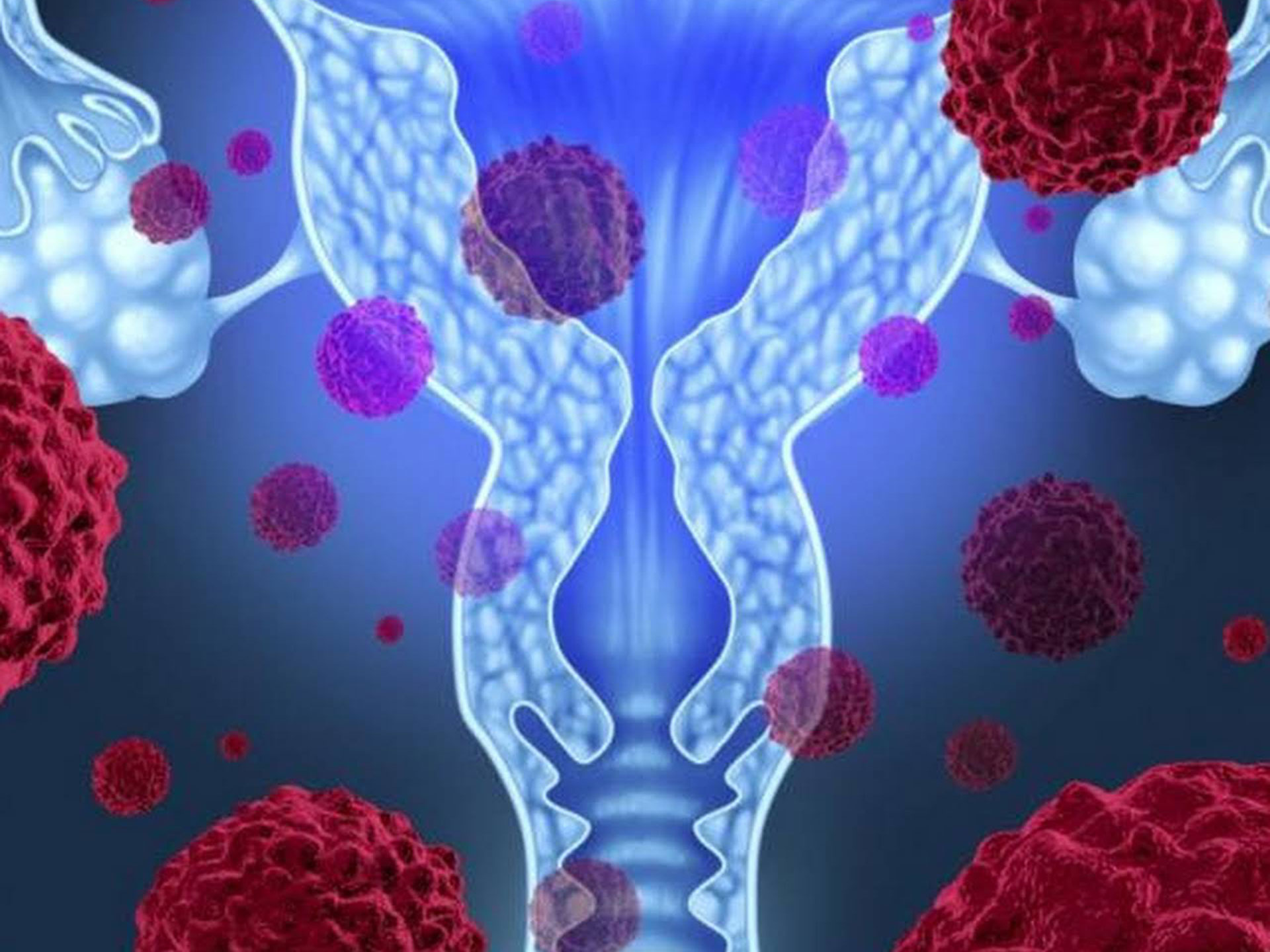 Virus del Papiloma Humano (VPH o HPV)