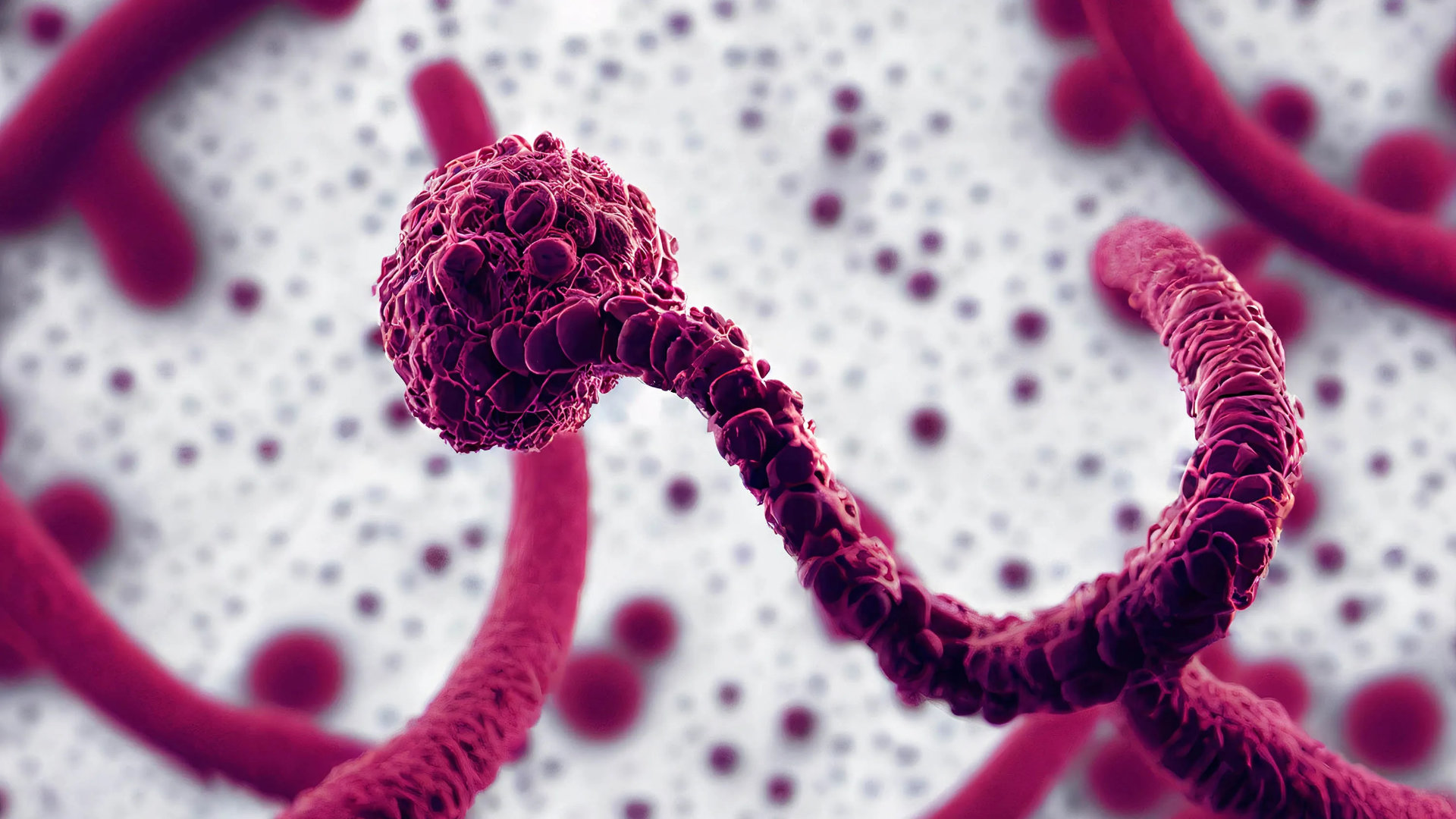 Dra. Silvia Villagrán, Ginecología, Control Ginecológico, Anticoncepción, Climaterio Y Post Menopausia, Control Mamario, Detección De Cáncer Cervical, Ginecoestética, Labioplastía De Reducción, Labioplastia De Aumento, Rejuvenecimiento Con Radiofrecuencia, Aumento Del Punto G, Rejuvenecimiento Vaginal, Atrofia O Resequedad Vulvovaginal, Vaginoplastia, Incontinencia De Esfuerzo, Colposcopía, Patología Vulvar, Obstetricia, Control Prenatal, Quito, Ecuador, www.doctorasilviavillagran.com